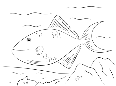 Red-toothed Triggerfish Coloring page