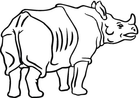 Indian Rhinoceros Coloring page