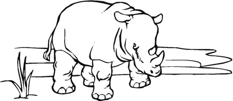 African Rhinoceros Coloring page