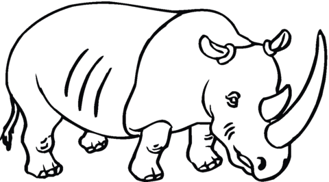 Rhino with Big Horn Coloring page