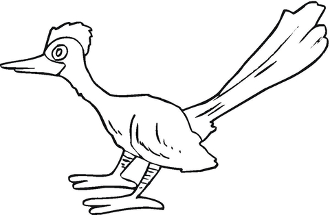 Roadrunner  Coloring page