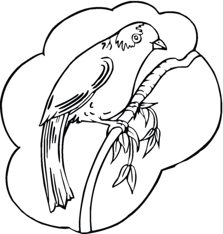 Robin 8 Coloring page
