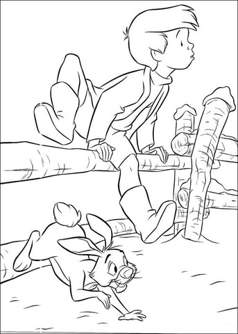 Robin And Rabbit  Coloring page