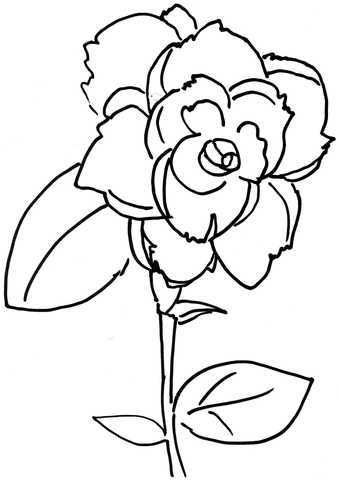 Rose Flower  Coloring page