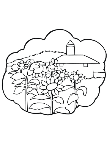 Rural Landscape with Sunflowers Coloring page