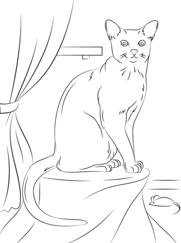 Russian Blue Cat Coloring page