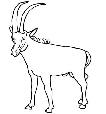 Sable Antelope Coloring page