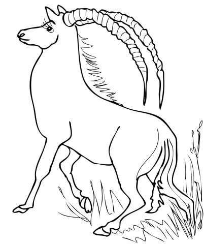 Sable Antelope from Africa Coloring page