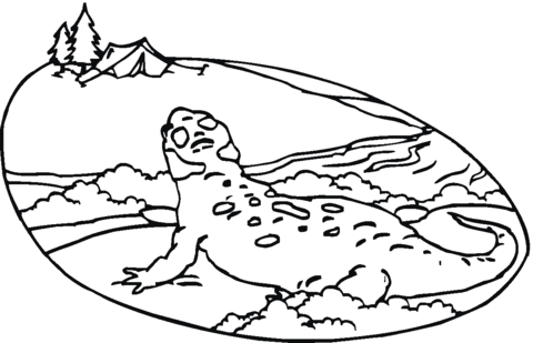 Salamander 2 Coloring page