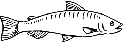 Salmon 10 Coloring page