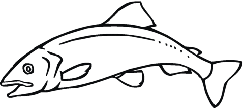 Salmon 11 Coloring page