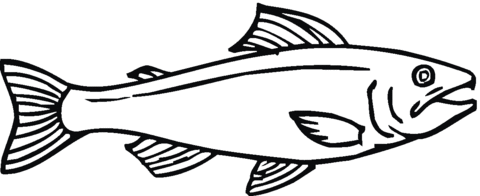 Salmon 12 Coloring page