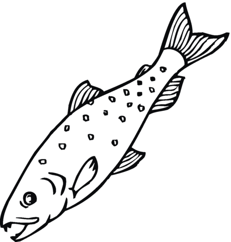 Salmon 13 Coloring page