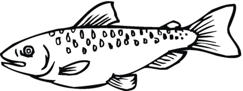 Salmon 16 Coloring page