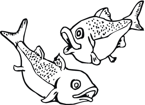 Salmon 7 Coloring page