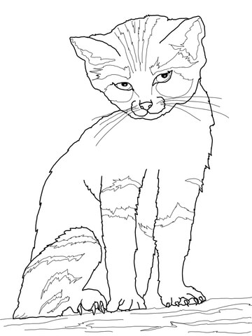 Sand Cat Coloring page