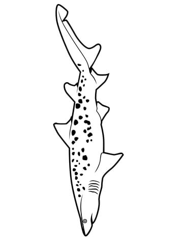 Sand Tiger Shark Coloring page