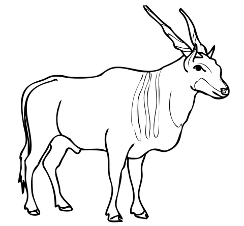 Savannah and Plains Antelope Eland Coloring page