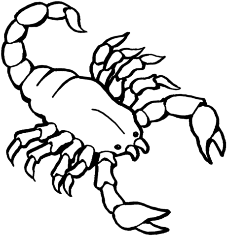 Scorpion Coloring page