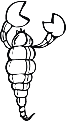 Scorpion 11 Coloring page