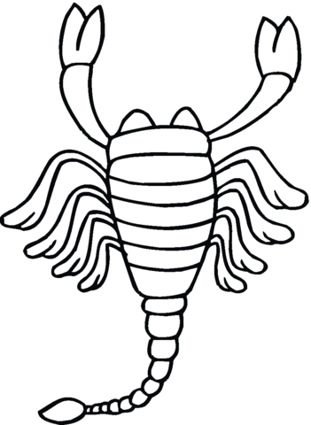 Scorpion 14 Coloring page