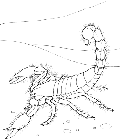 Giant Desert Scorpion Coloring page
