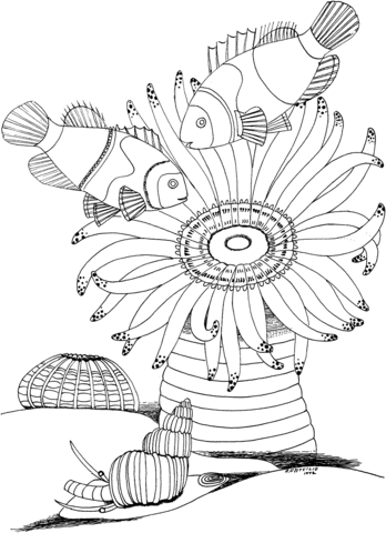 Sea Anemone and Snail Coloring page