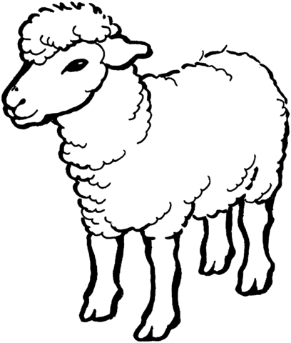 Sheep 1 Coloring page