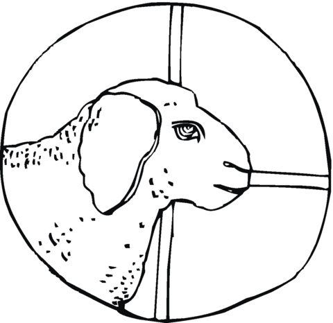 Sheep Head Coloring page