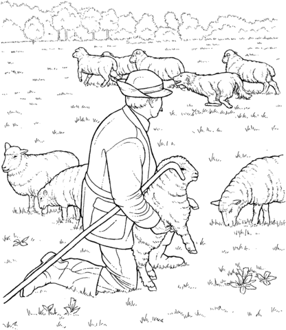 Sheep herd and  Shepherd Coloring page