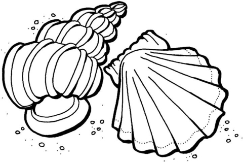 Shells from the Sea  Coloring page