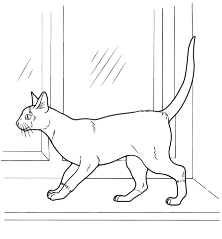 Siamese Cat Coloring page