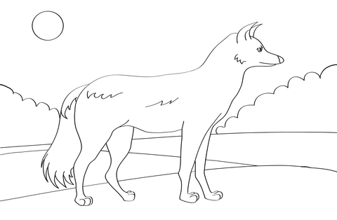 Side Striped Jackal Coloring page