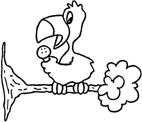 Singing Parrot Coloring page
