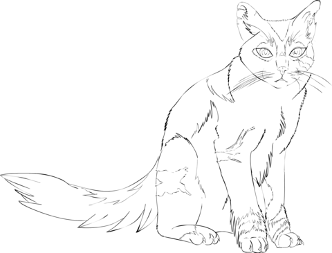 Sitting Cat Coloring page