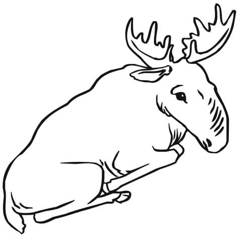 Sitting Moose Coloring page