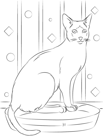 Sitting Siamese Cat Coloring page