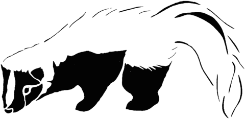 Black & White Striped Skunk Coloring page