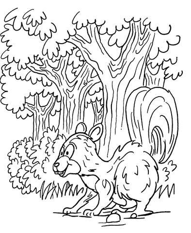 Skunk In Forest Coloring page