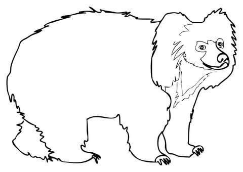 Sloth Bear Coloring page