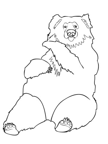 Sloth Bear from India Coloring page