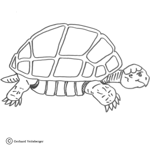 Slow Turtle Coloring page