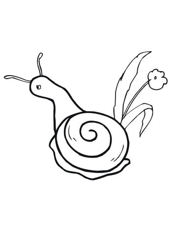 Snail and Flower Coloring page