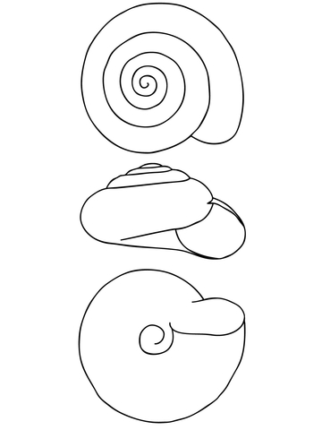 Snail Shell Coloring page