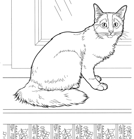 Somali Cat  Coloring page