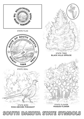 South Dakota State Symbols Coloring page