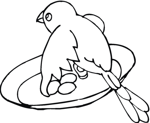 Sparrow And Its Eggs Coloring page