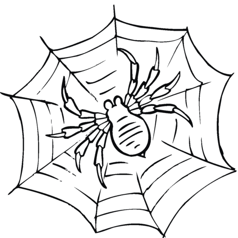 Spider on a web Coloring page