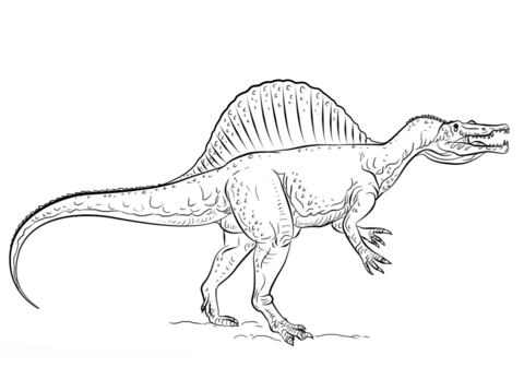 Spinosaurus Coloring page