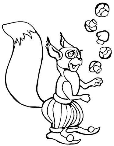 Squirrel with Mushrooms  Coloring page